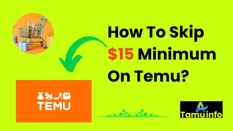 How To Skip $15 Minimum On Temu