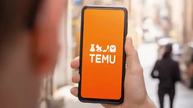 Contact Temu by Phone