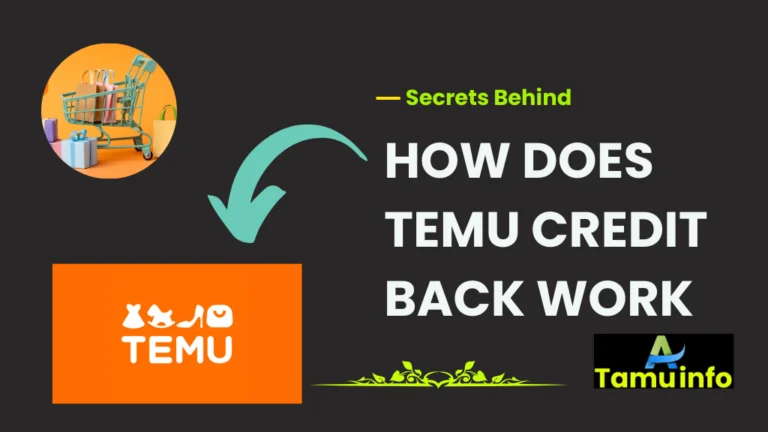 HOW DOES TEMU CREDIT BACK WORK