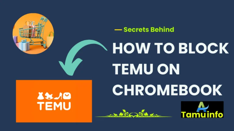 HOW TO BLOCK TEMU ON CHROMEBOOK