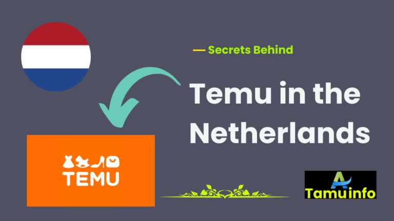 Temu in the Netherlands