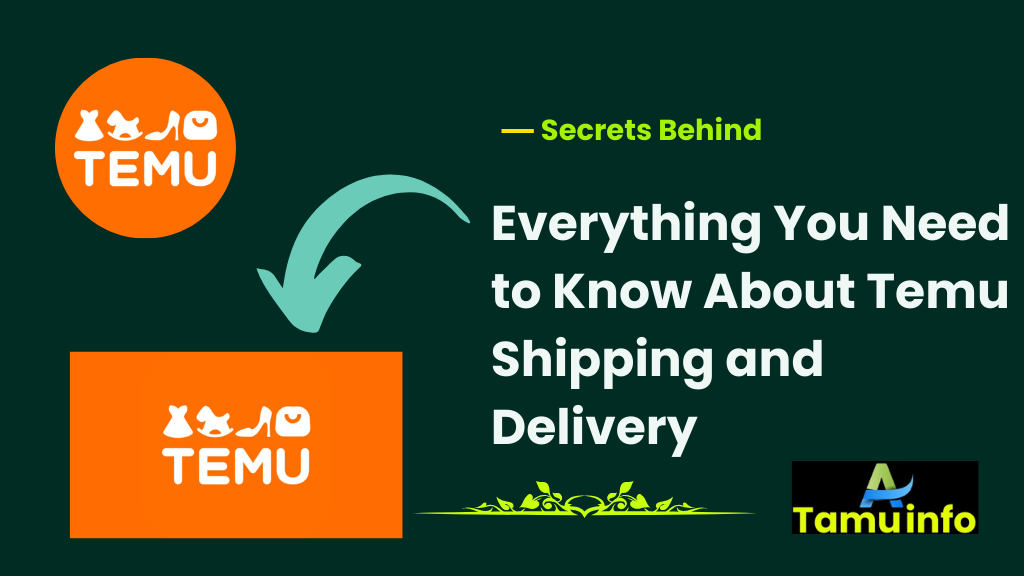 Temu Shipping and Delivery