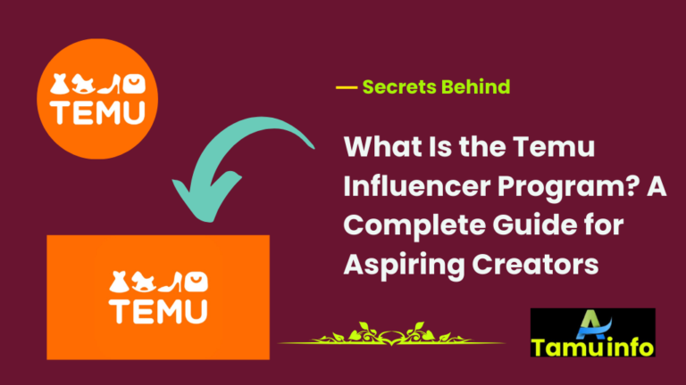 What Is the Temu Influencer Program? A Complete Guide for Aspiring Creators